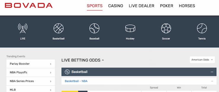 An image of the range of sports offered at top Texas sports betting site Bovada